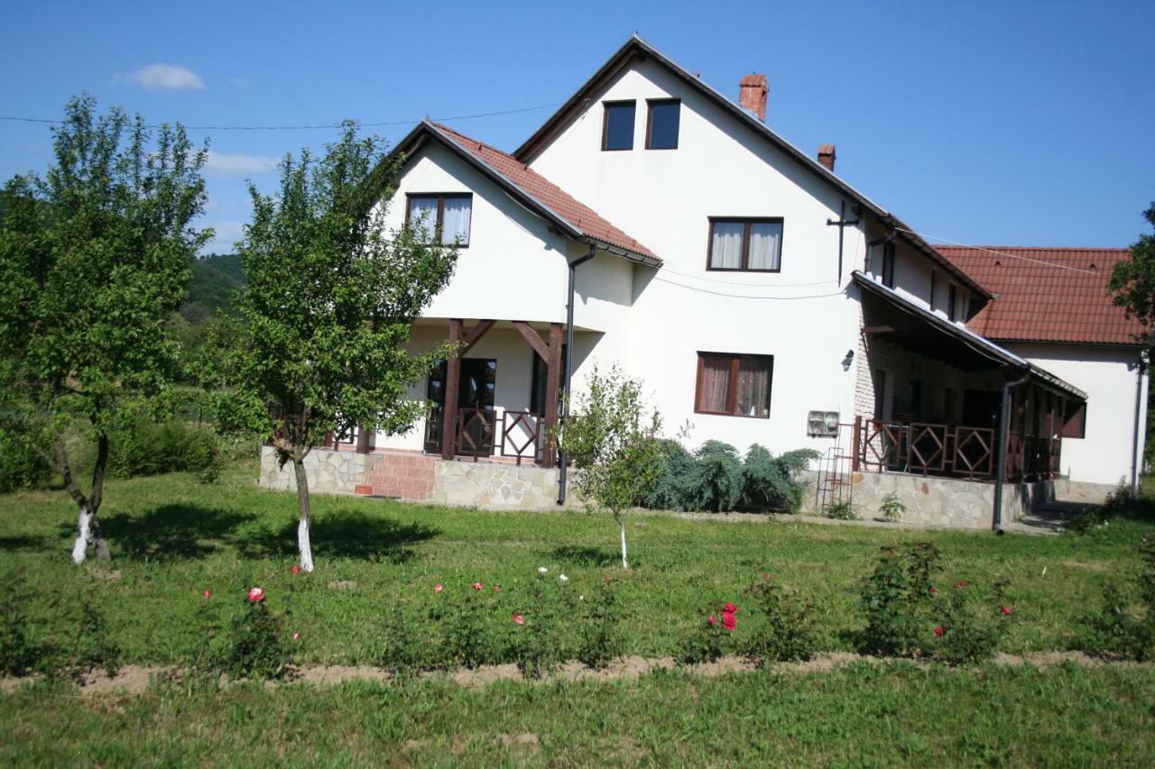 Dobarlica Guest House Dobirlau ภายนอก รูปภาพ