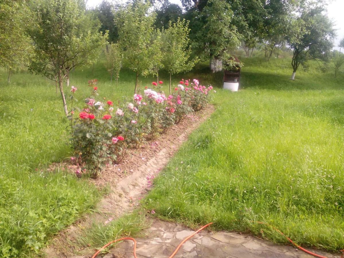 Dobarlica Guest House Dobirlau ภายนอก รูปภาพ
